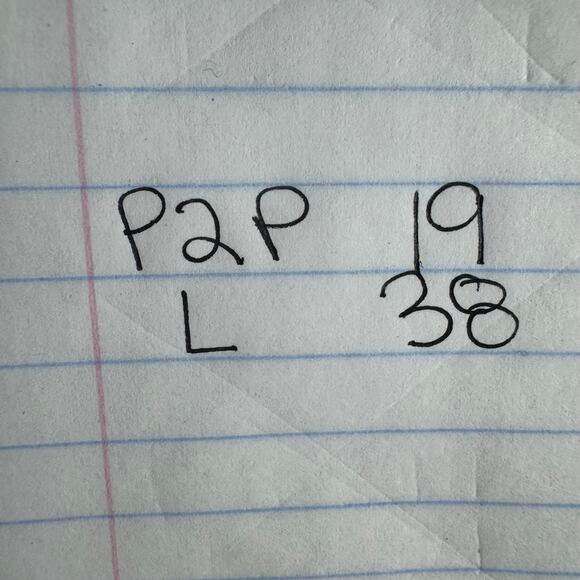 Chico's Dress Women 4 NWT Very Cherry Balloon Hem Tapestry Floral Pocket Modest - Picture 8 of 8